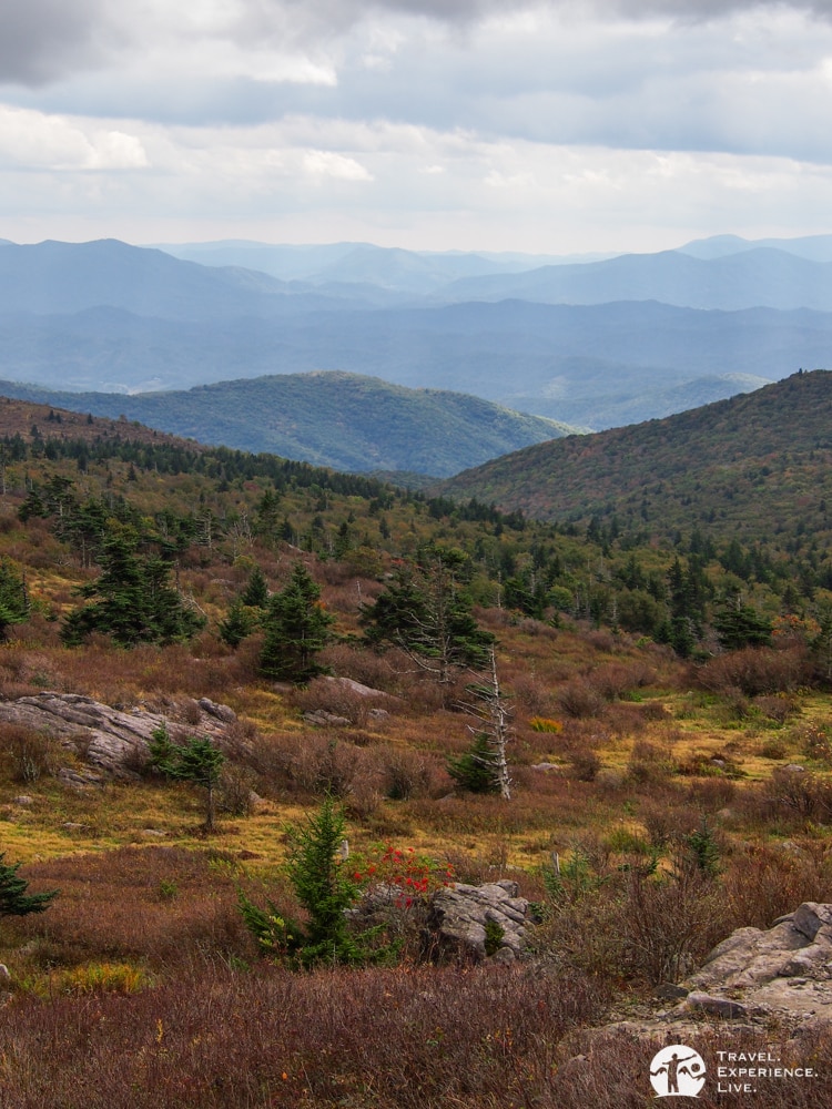 Landscape in Virginia's Grayson Highlands