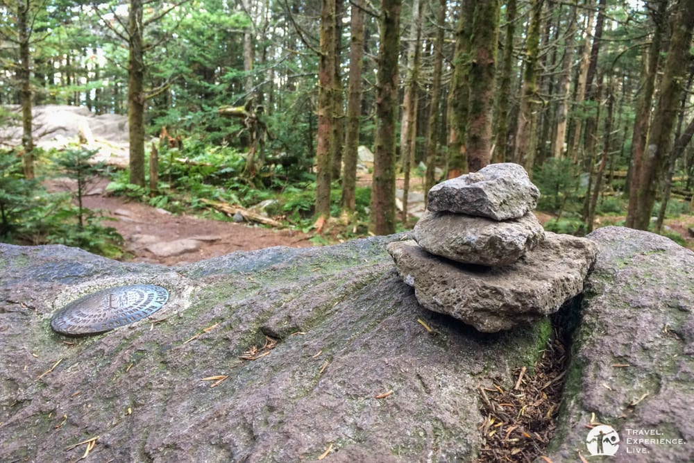 Summit of Mount Rogers, Virginia