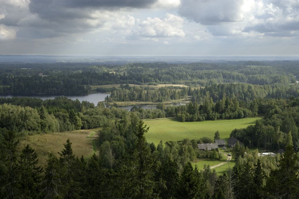 Southern Estonia landscape
