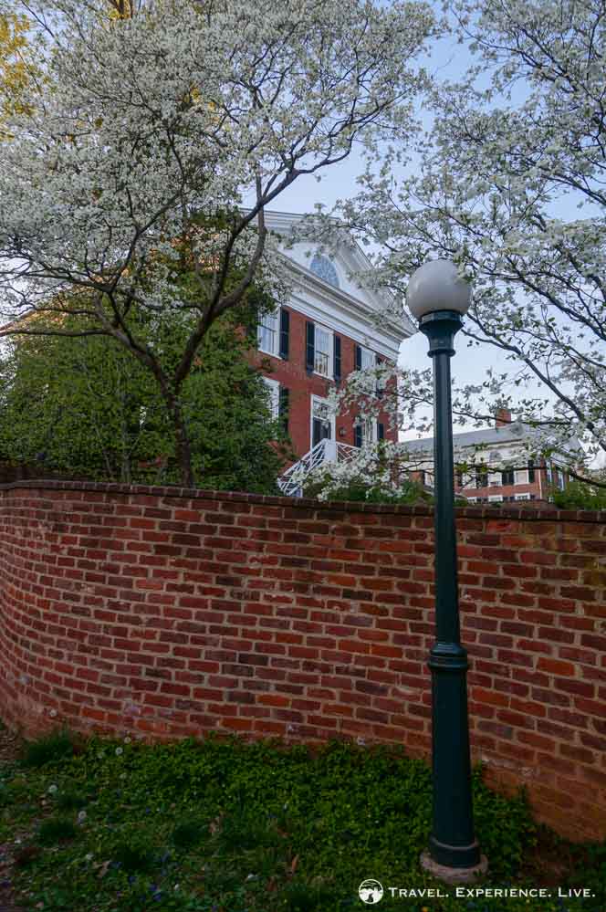 Spring at the University of Virginia