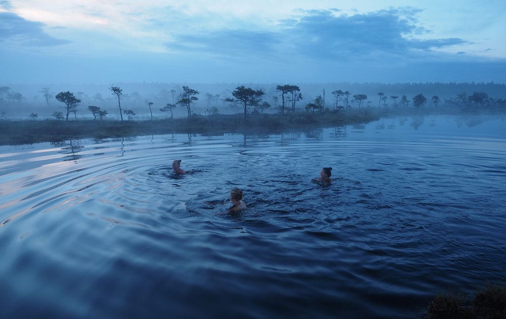 Swimming in a bog, Estonia