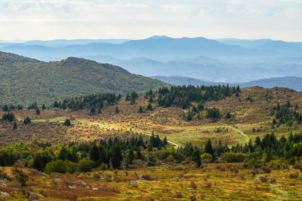 Landscape in Grayson Highlands, Virginia