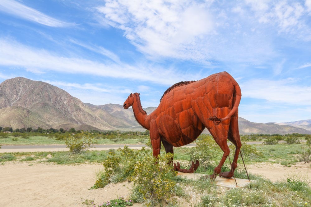 Camel statue in Borrego Springs, Anza-Borrego Desert, California