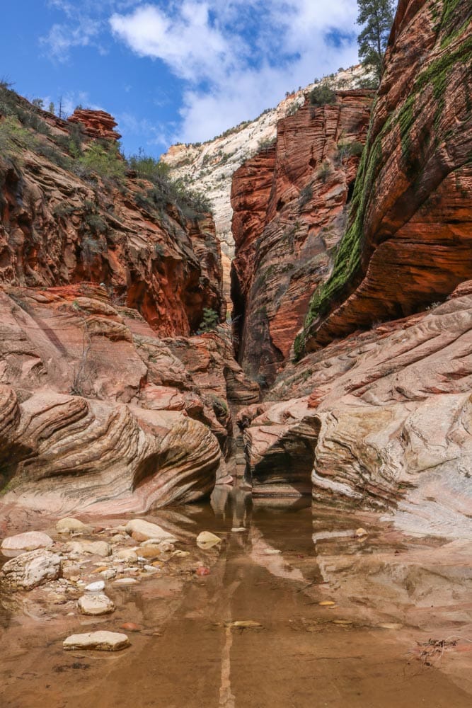 Echo Canyon, Zion National Park, Utah