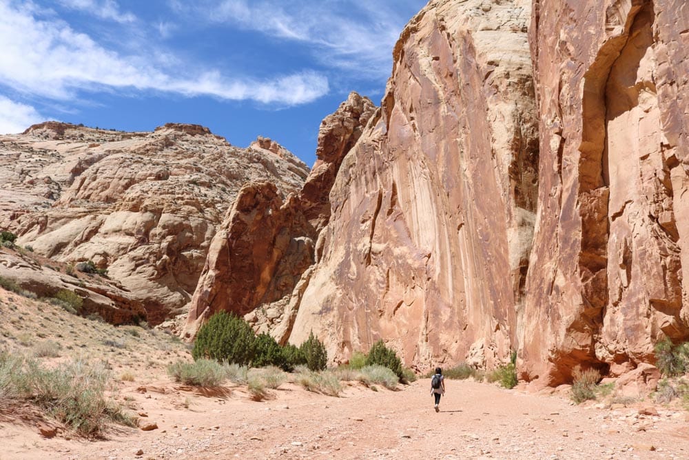 Grand Wash Trail in Capitol Reef National Park, Utah - National Monuments That Were Upgraded to National Parks