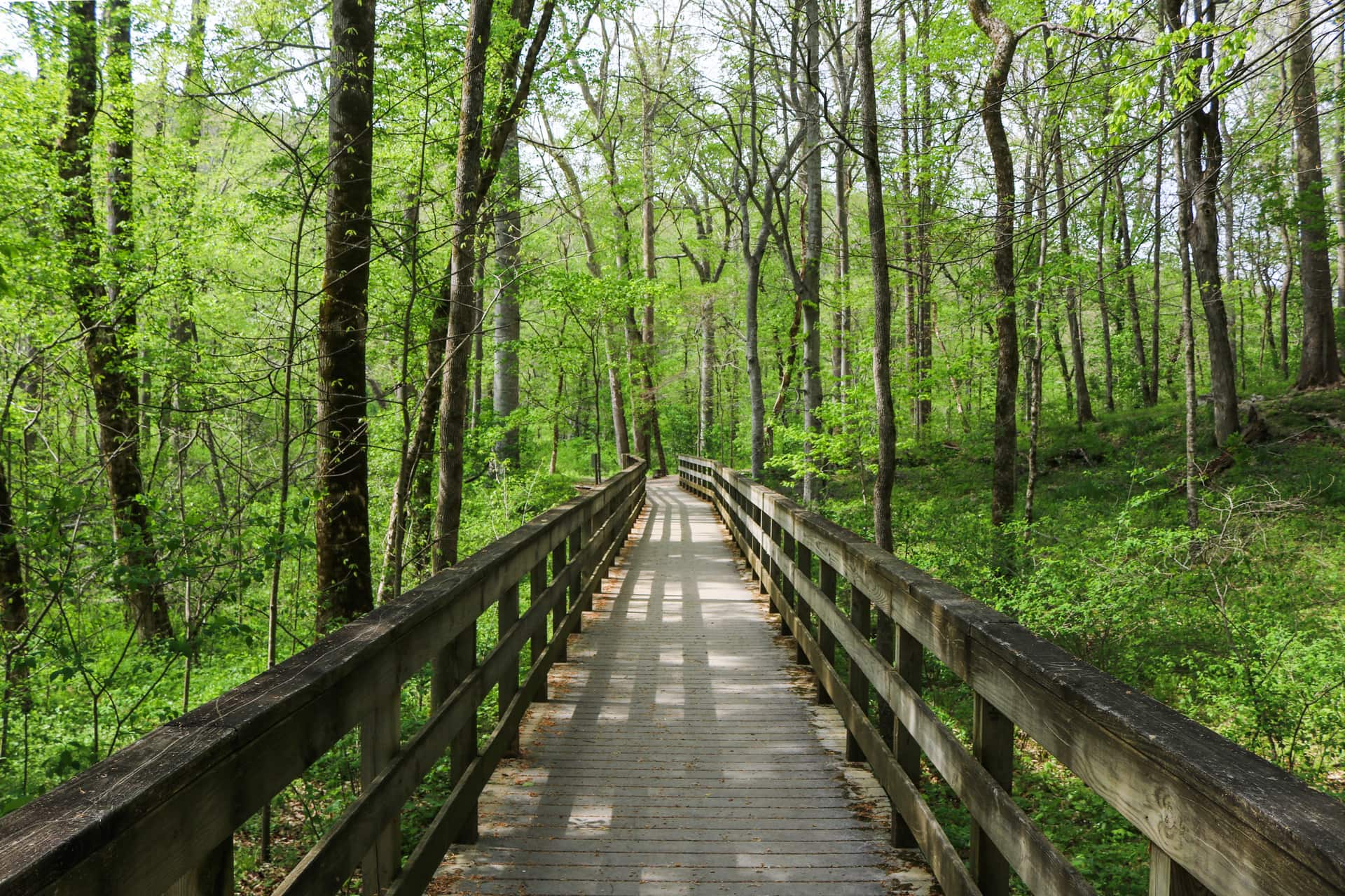 River Styx Spring Trail, Mammoth Cave National Park, Kentucky