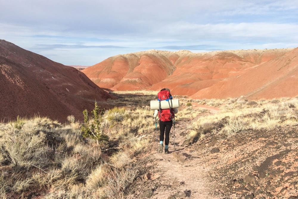 Hiker in the Painted Desert, Arizona - Petrified Forest National Park Attractions