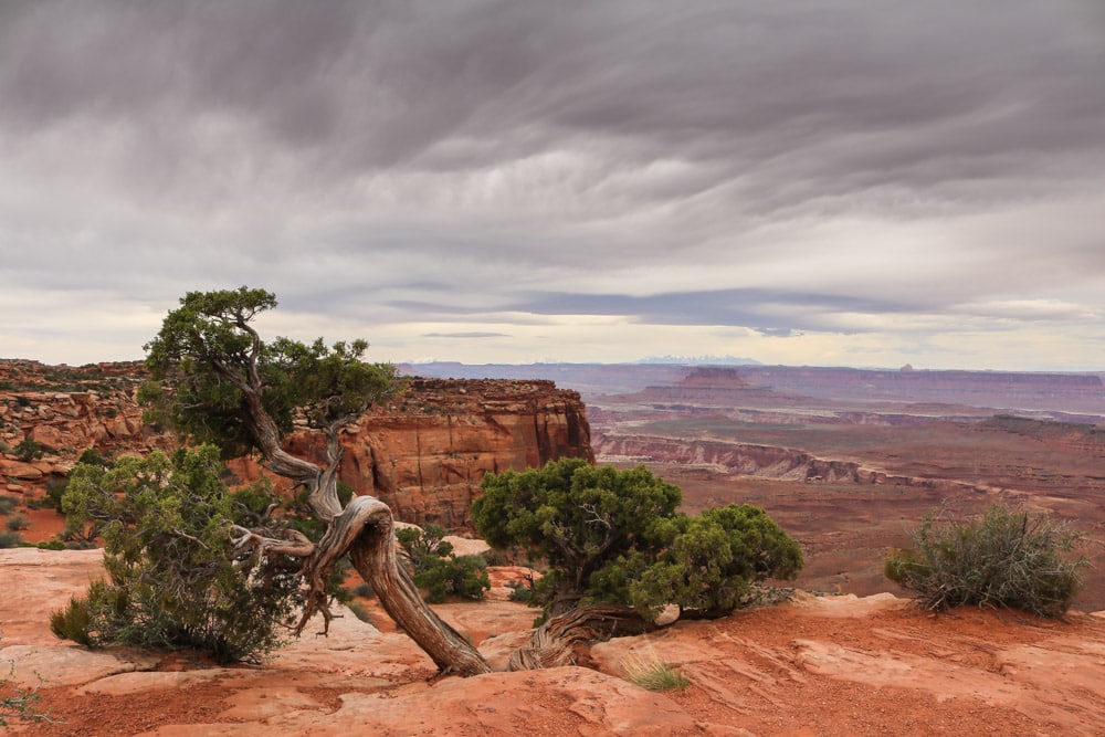 Canyonlands National Park landscape, Utah
