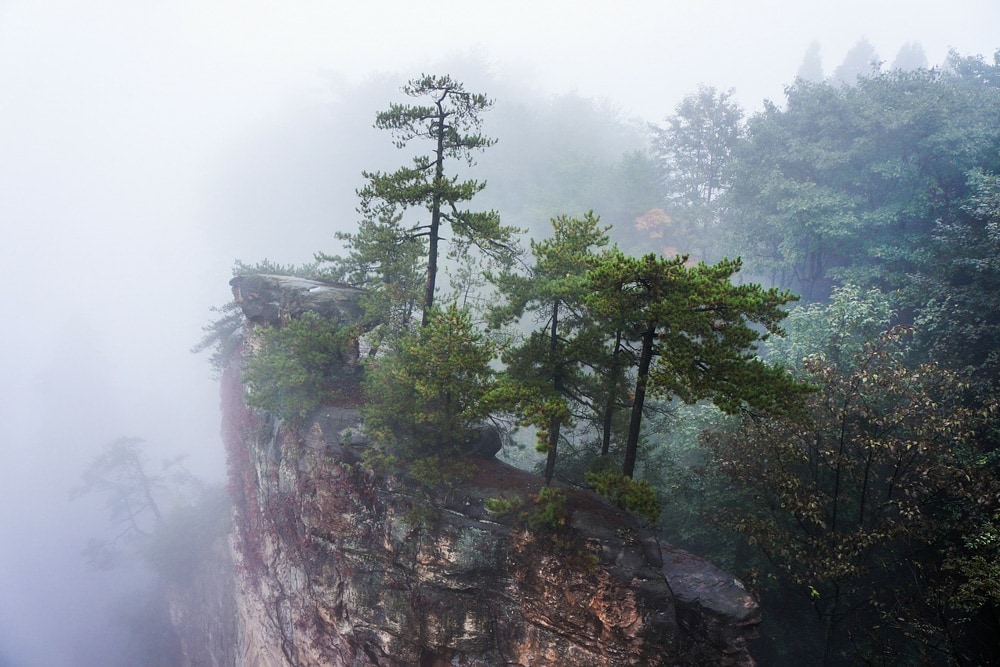 Mist in the Avatar Mountains, Zhangjiajie National Park