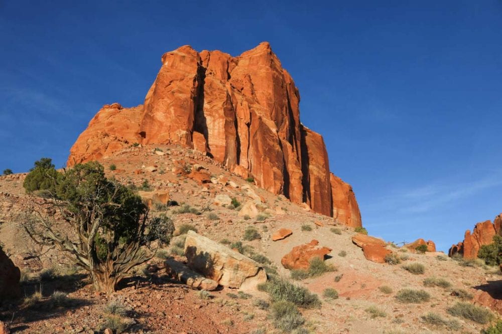 10 Amazing Things to Do in Capitol Reef National Park, Utah