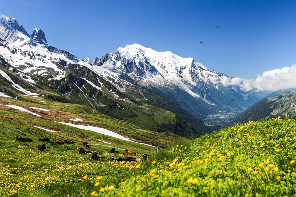 Tour du Mont Blanc, one of the best hiking trails in Europe