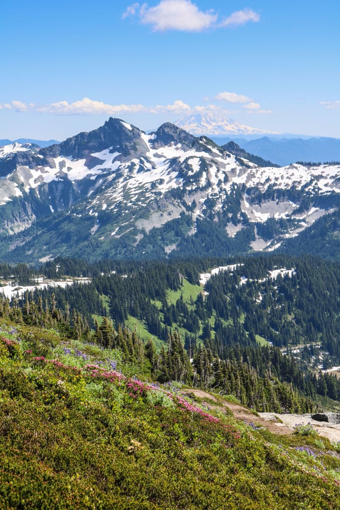 Cascade Mountains in Mount Rainier National Park