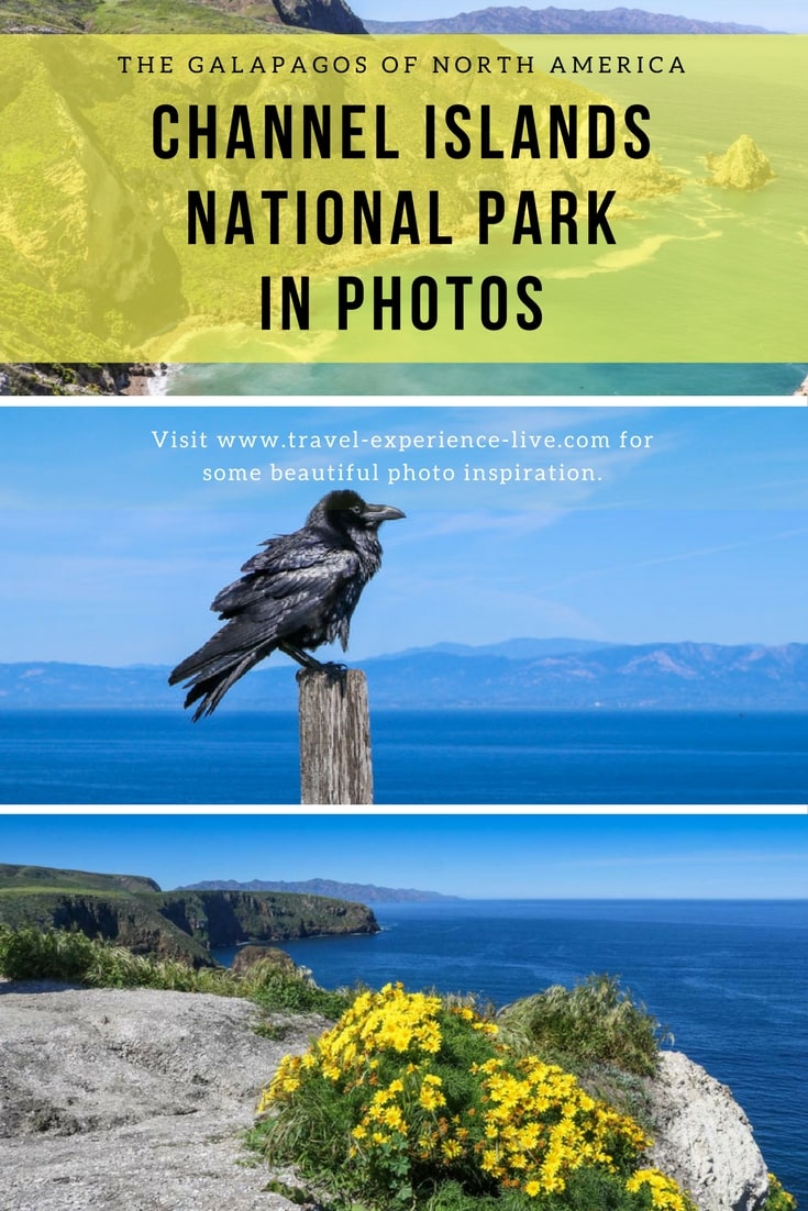 Channel Islands National Park Photos - California Channel Islands Photo Essay