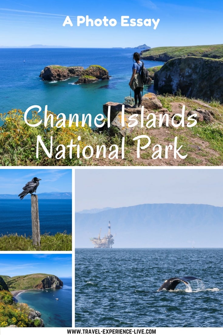 Channel Islands National Park Photos - Unique Archipelago in Southern California