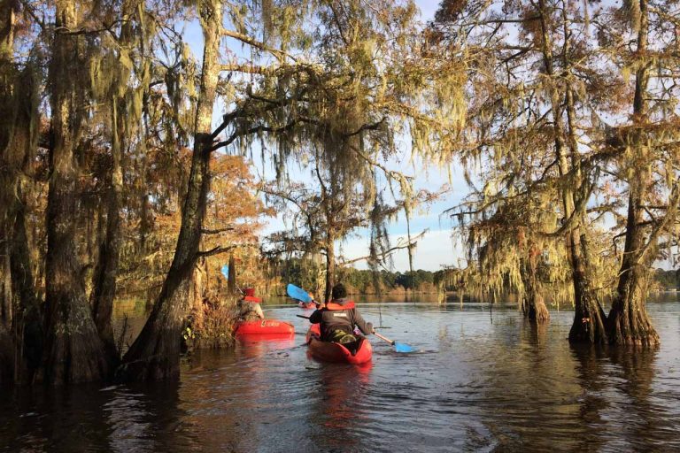 Evening on the bayou, Big Ticket National Preserve - Credit NPS