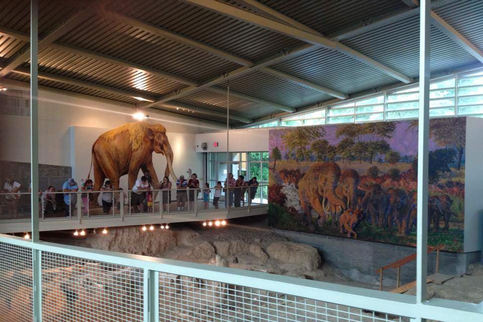 Waco Mammoth National Monument, Texas - Credit NPS - Fossil National Parks