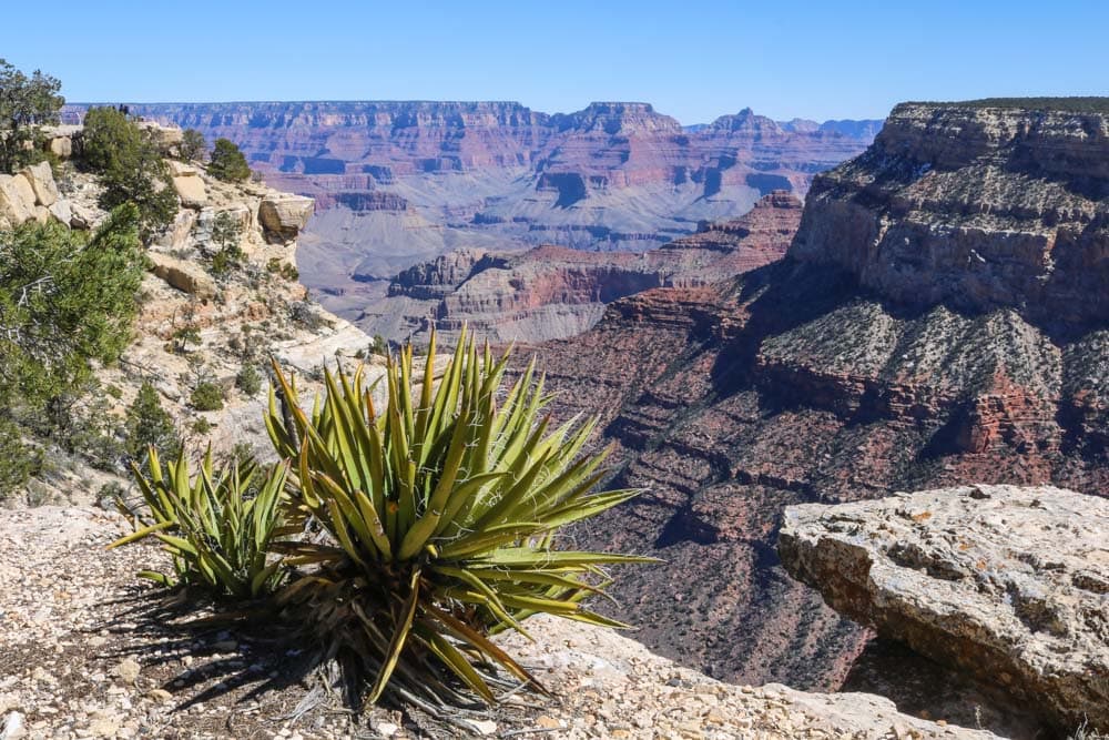 Grand Canyon National Park is one of the best national parks for a spring getaway