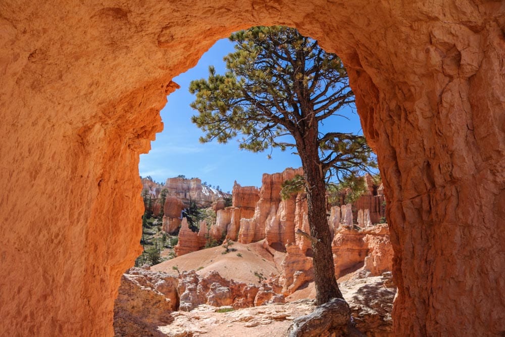 Rock window in Bryce Canyon Peekaboo Trail, Utah