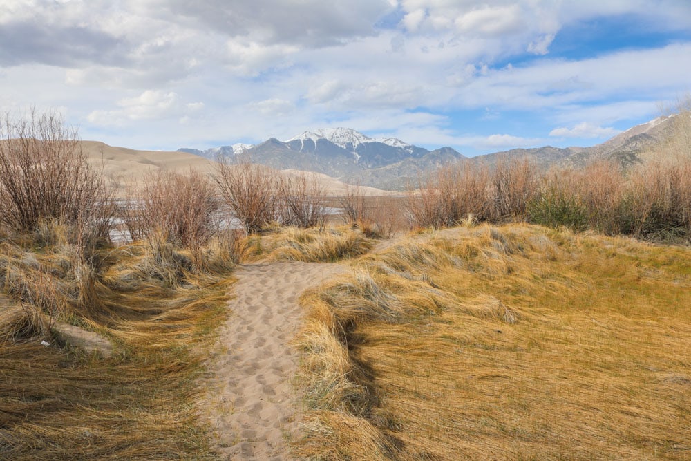 Desert hiking trail in Great Sand Dunes National Park, Colorado