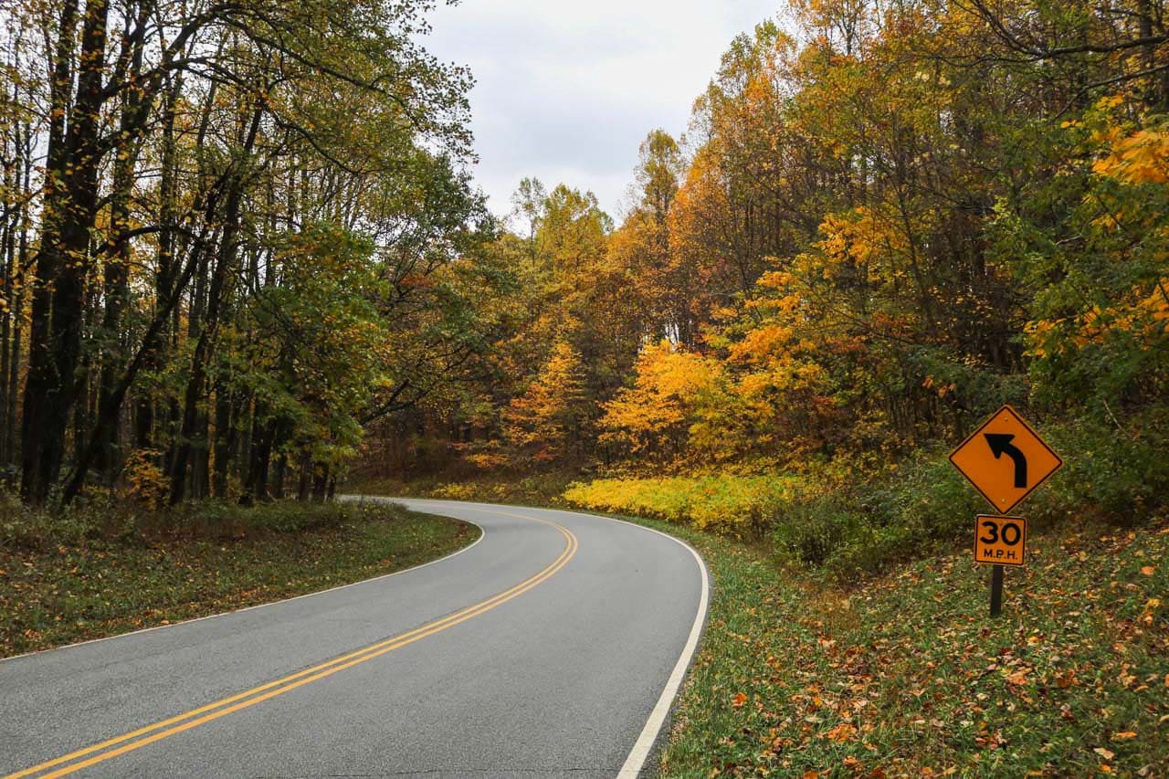 Fall foliage on Skyline Drive in Shenandoah National Park, Virginia