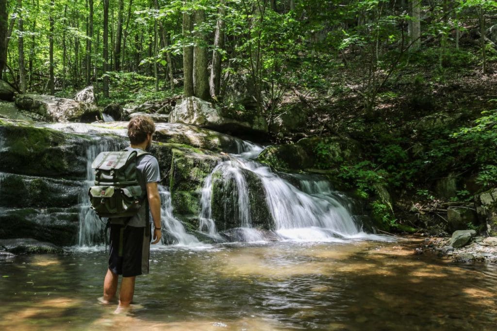 15 Best Day Hikes in Shenandoah National Park For Views, Waterfalls