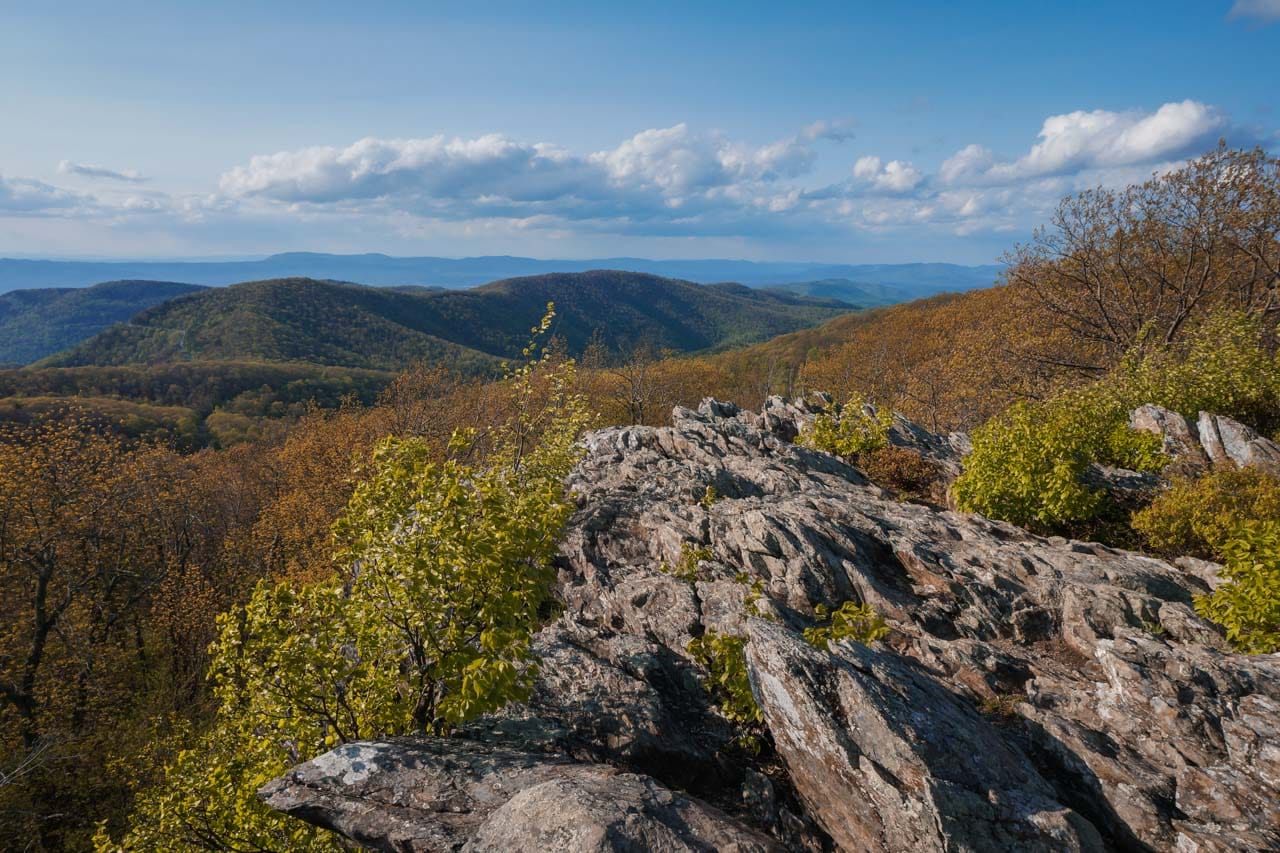 Frazier Discovery Trail - Best Day Hikes in Shenandoah National Park