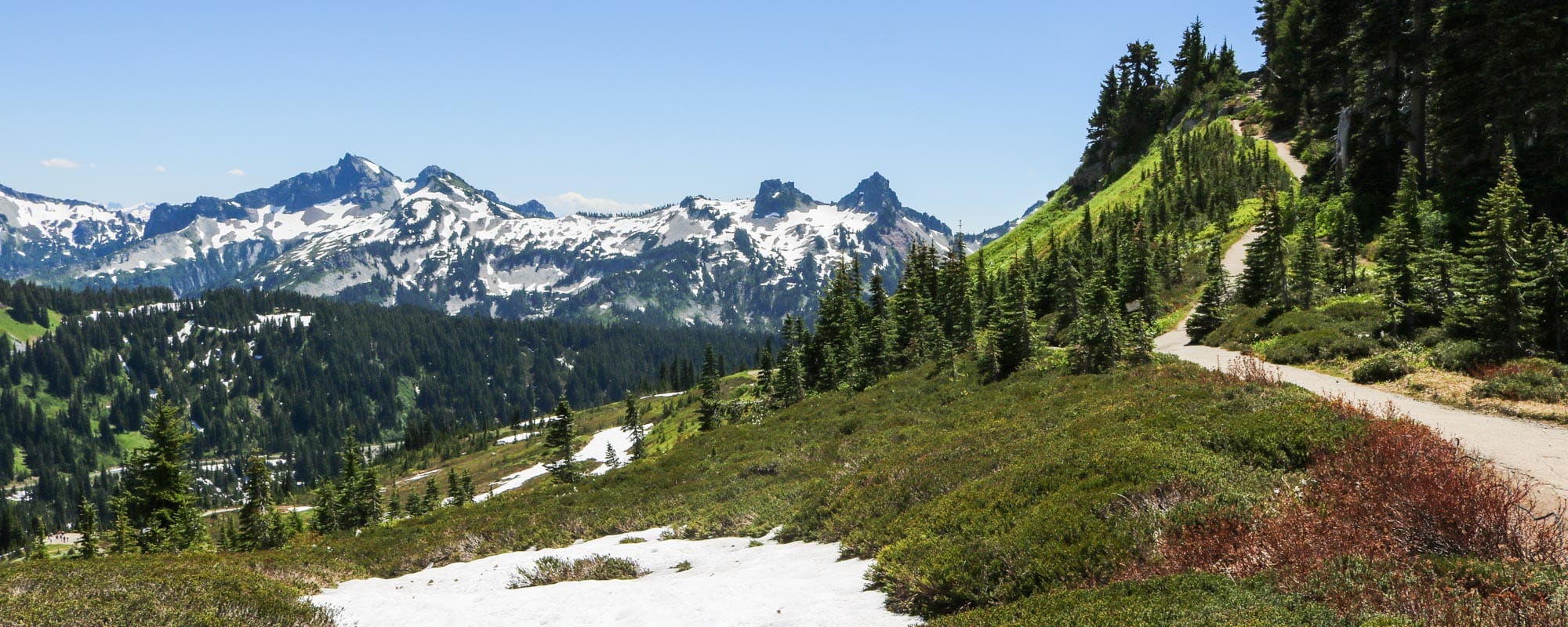 Mount Rainier National Park Washington Travel