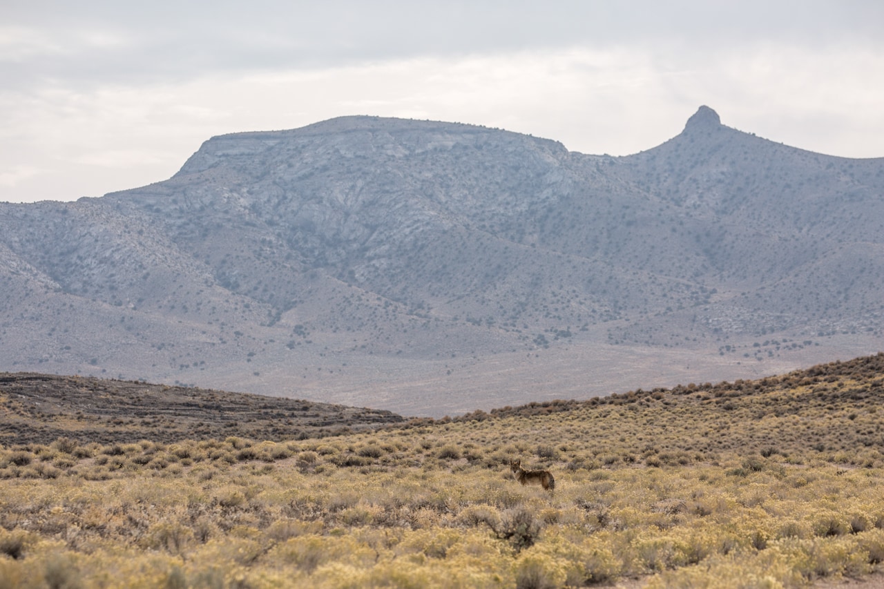 Basin and Range National Monument - Ten Adventures in National Monuments