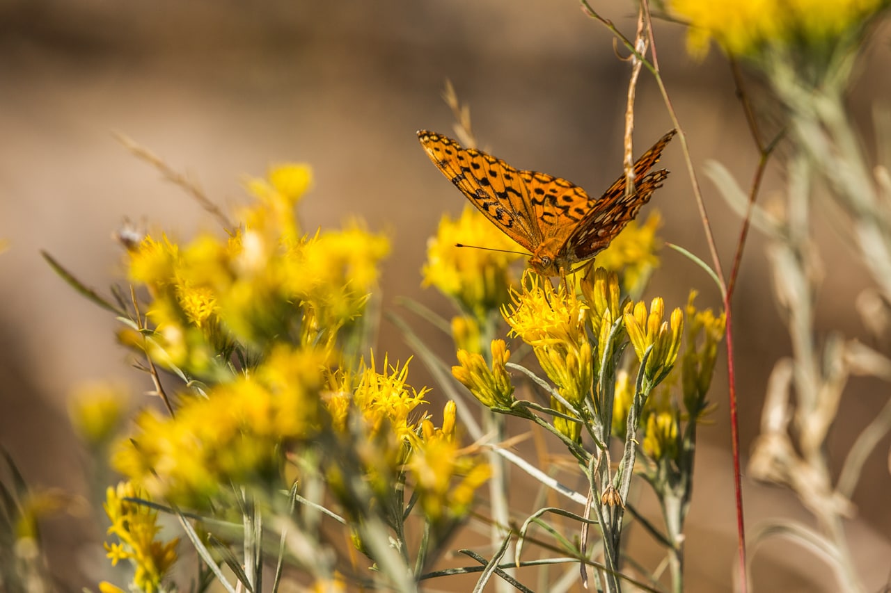 Cascade-Siskiyou National Monument - Ten Adventures in National Monuments