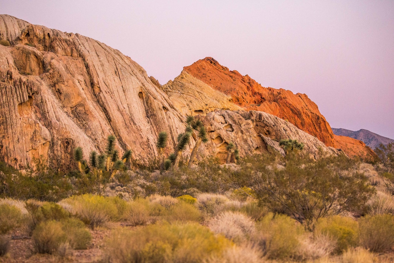 Gold Butte National Monument - Ten Adventures in National Monuments
