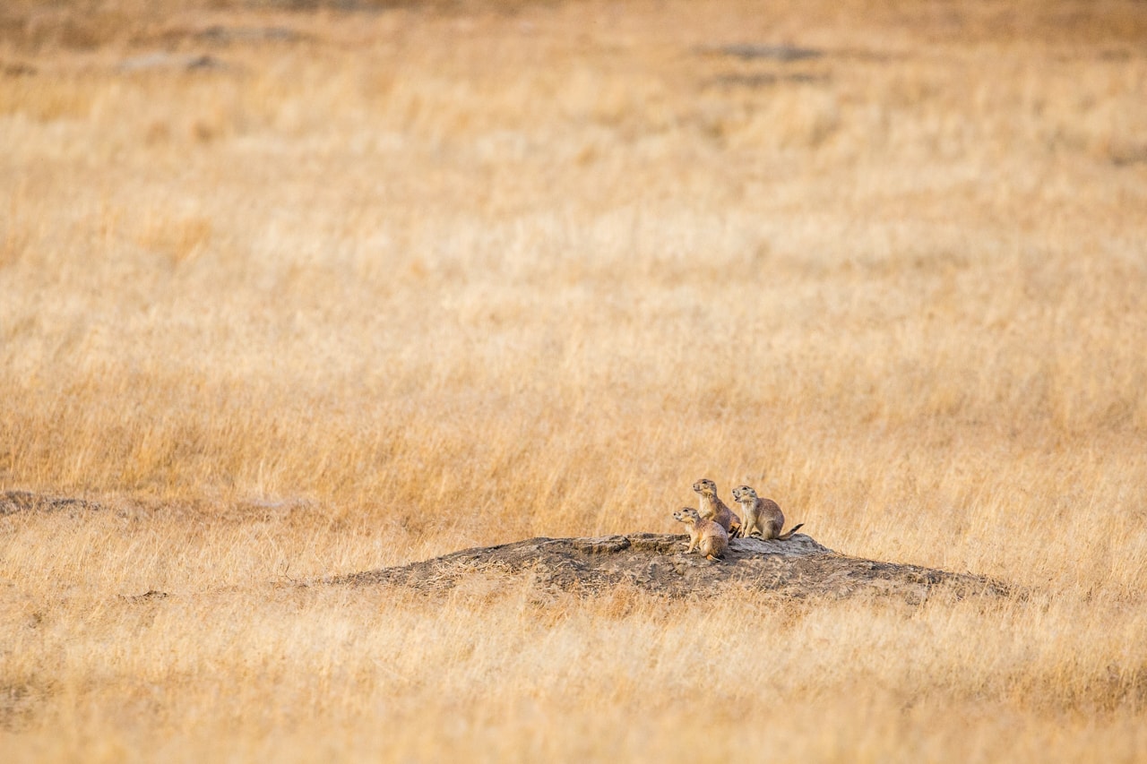 Upper Missouri River Breaks National Monument - Ten Adventures in National Monuments