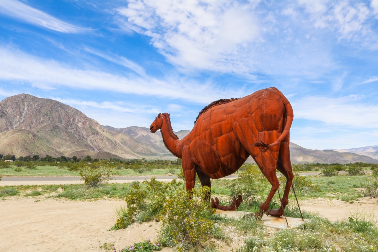 Camel statue in Borrego Springs, Anza-Borrego Desert State Park, Southern California desert parks