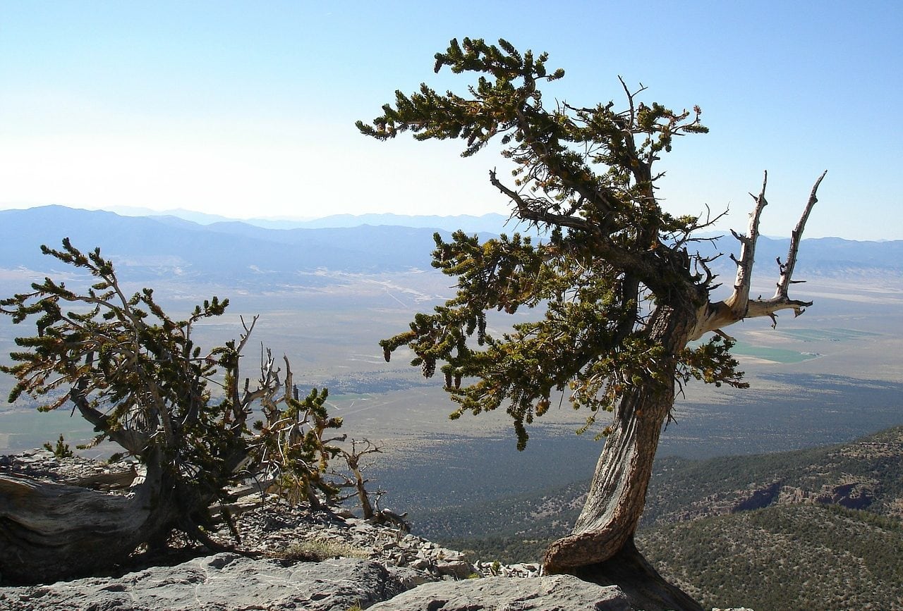 Great Basin National Park in Nevada - National Monuments that became National Parks
