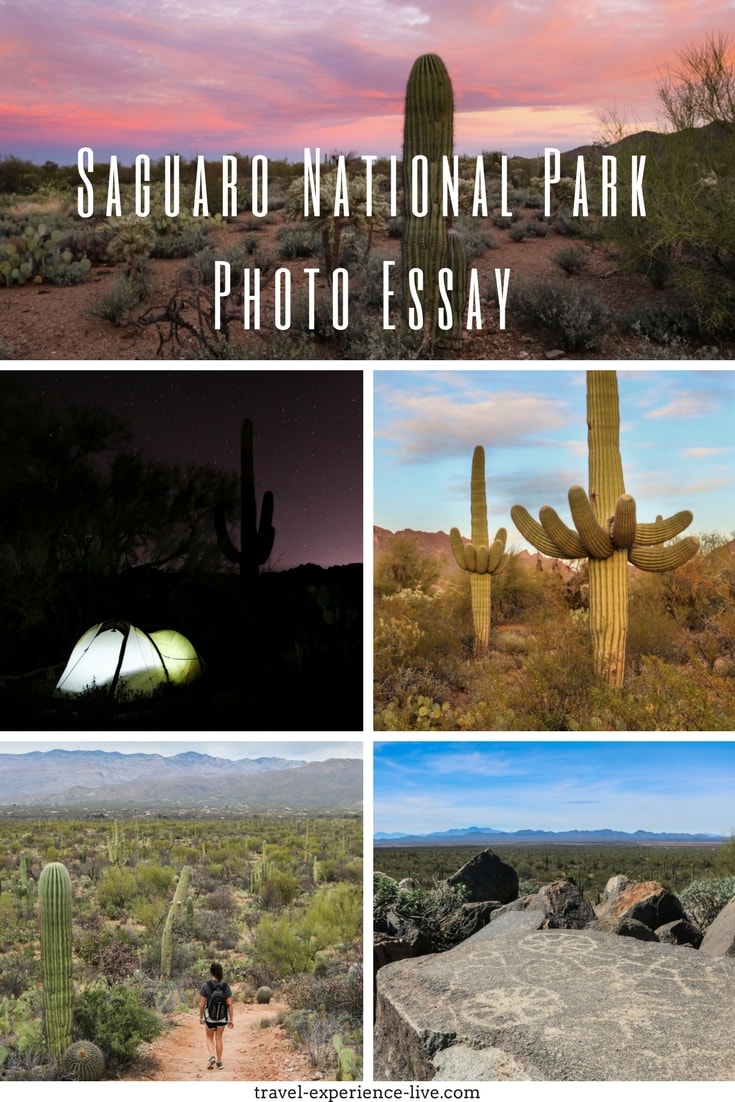 Arizona's Saguaro National Park Photos