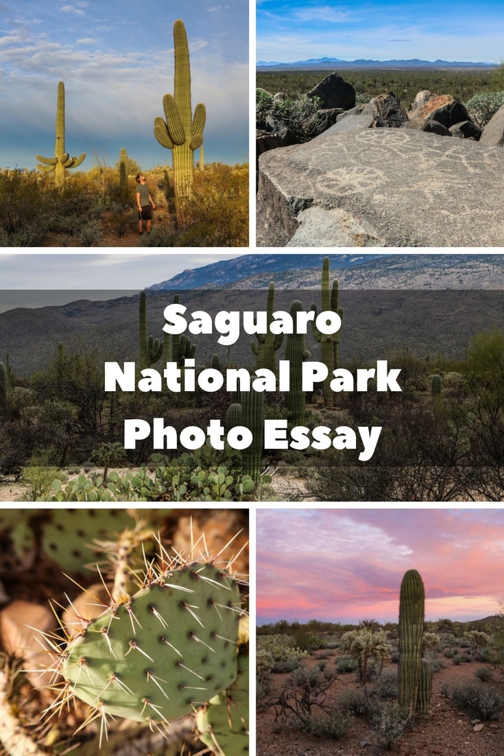 Saguaro National Park Photo Essay