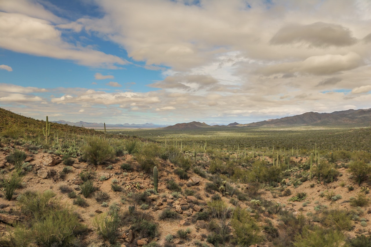 Tucson Mountain Park, Arizona