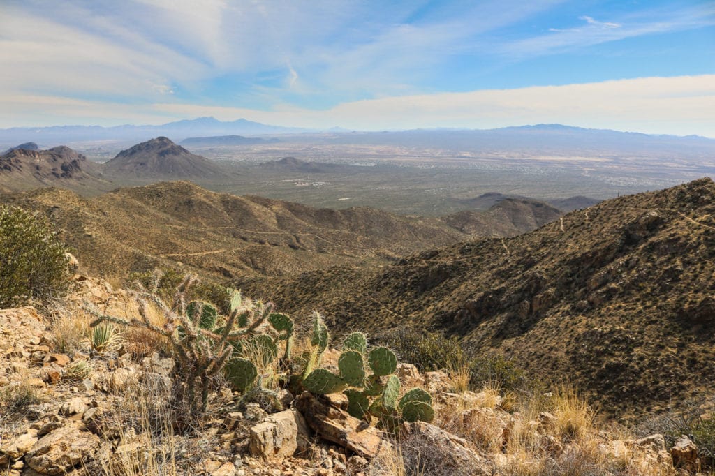View from Wasson Peak, Saguaro National Park, Arizona
