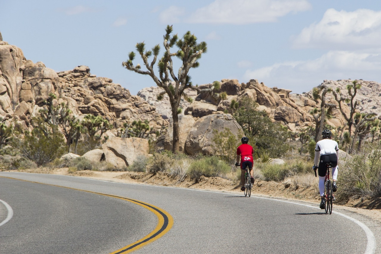 Cyclists in Joshua Tree National Park, California - Best Cycling Roads in American National Parks