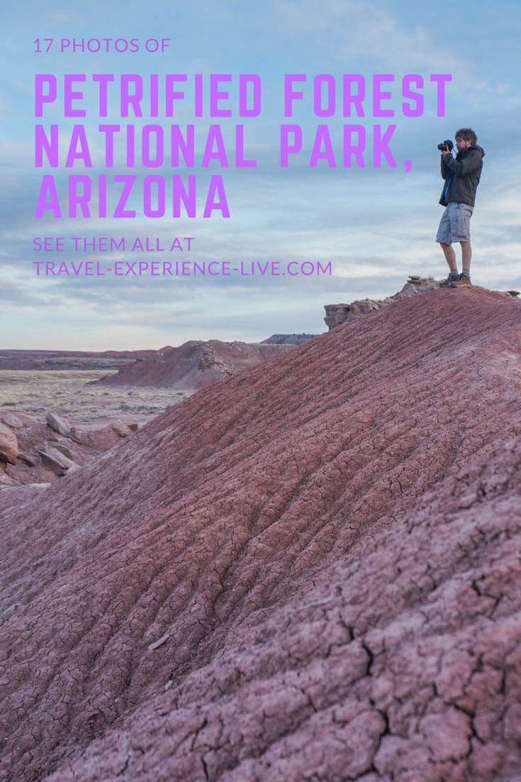 17 Photos of Petrified Forest National Park, Arizona