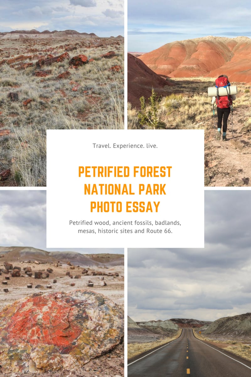 Arizona Petrified Forest National Park Photos