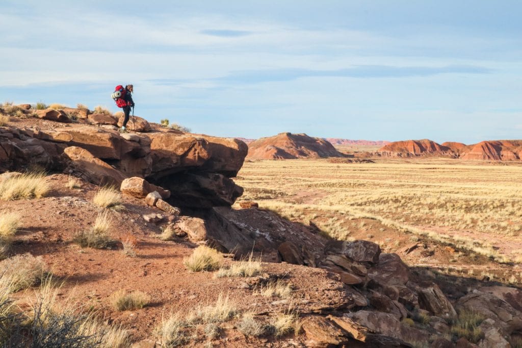 Hiker in the Painted Desert, Petrified Forest National Park, Arizona