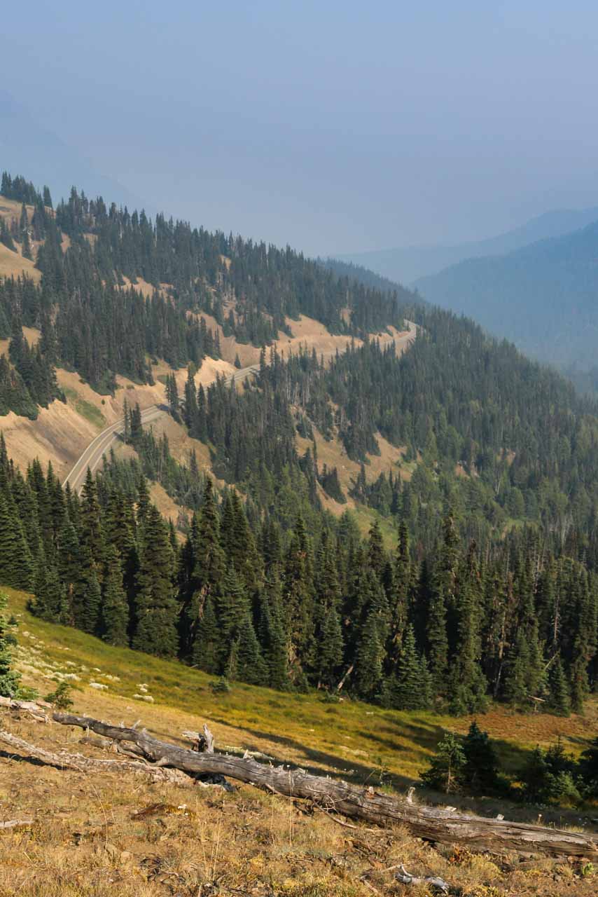 Hurricane Ridge road, Olympic National Park, Washington