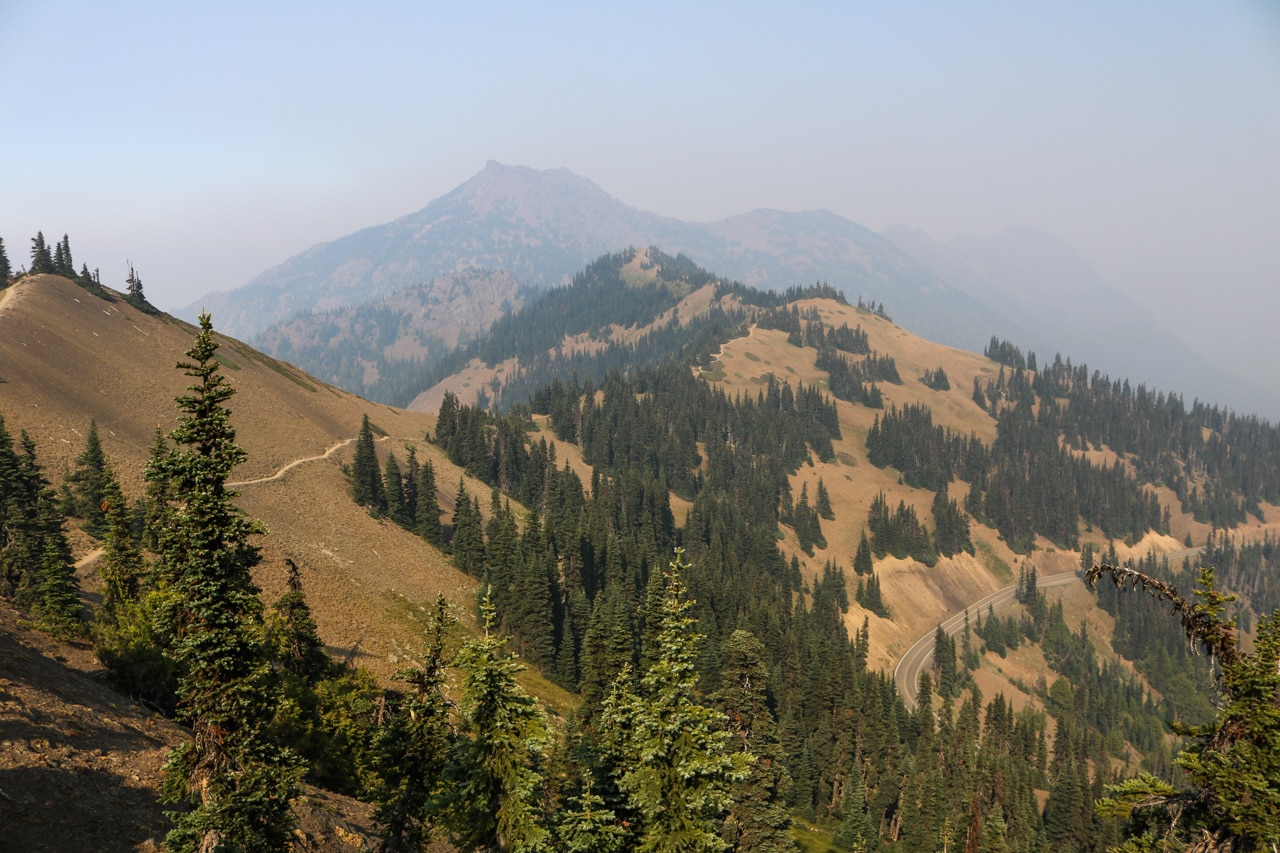 Hurricane Ridge trail and road, Olympic National Park, Washington