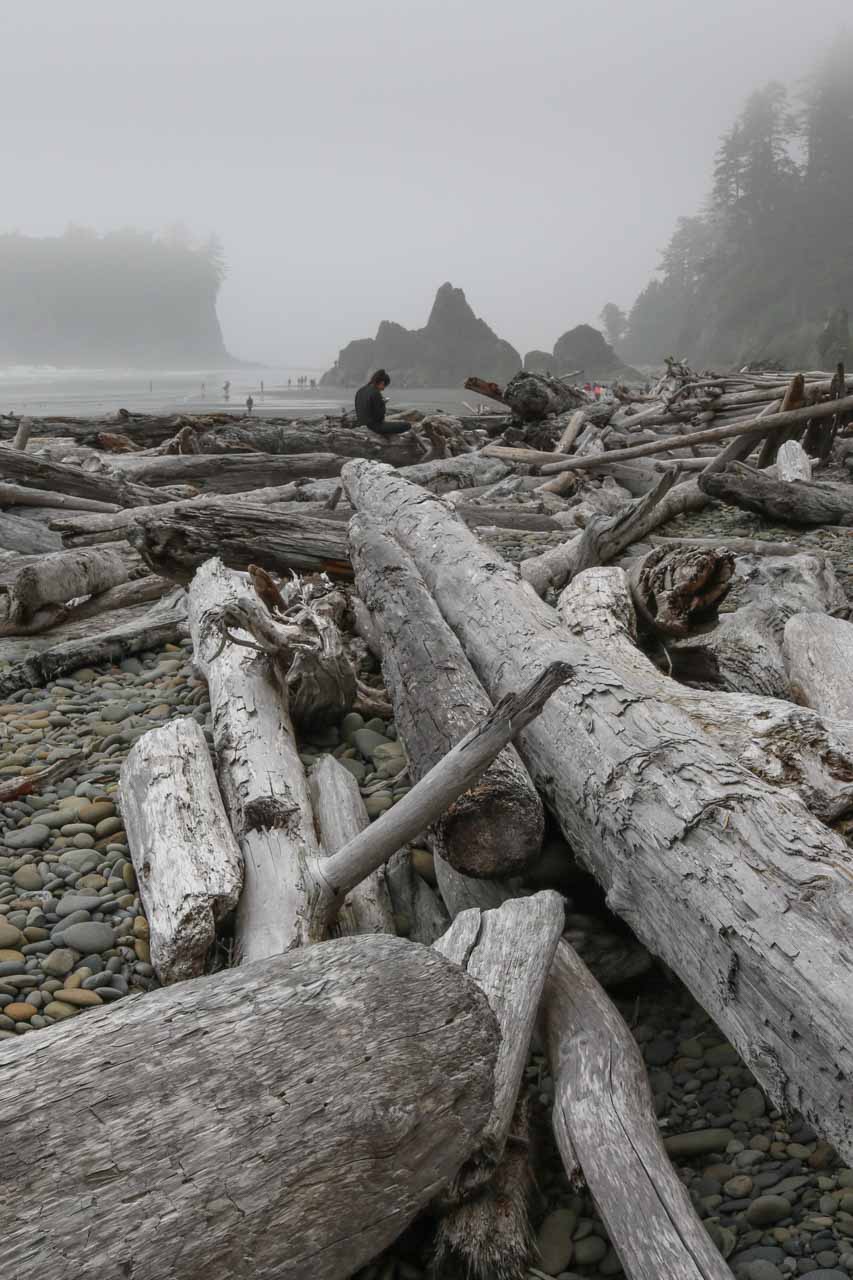 Mist on Ruby Beach, Olympic National Park, Washington
