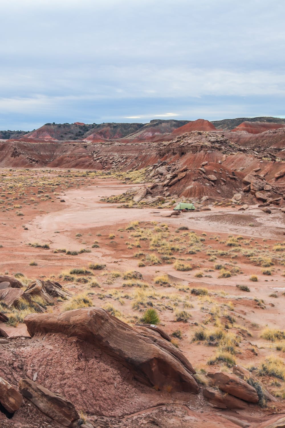 Camping in the Painted Desert, Images of Petrified Forest National Park