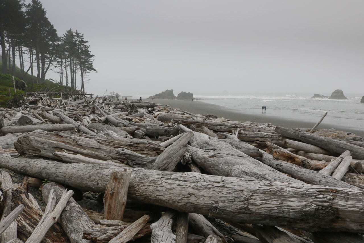 Ruby Beach coast, Olympic National Park Pictures