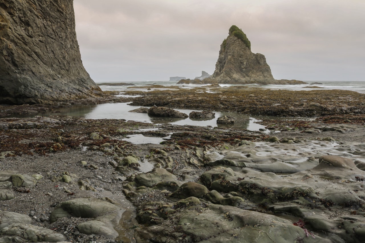 Tidepools on Rialto Beach, Pictures of Olympic National Park, Washington