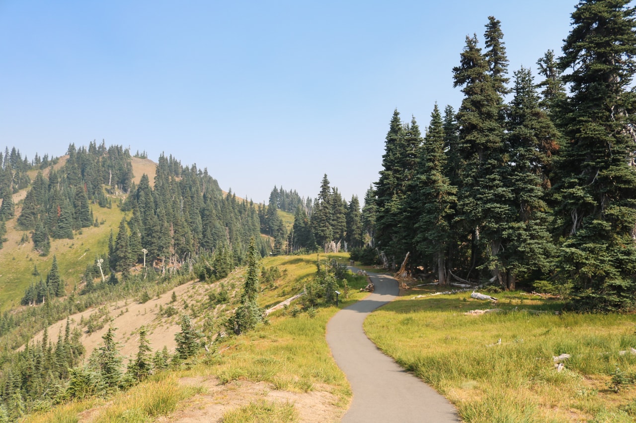 Hurricane Ridge trail and road, Olympic National Park, Washington
