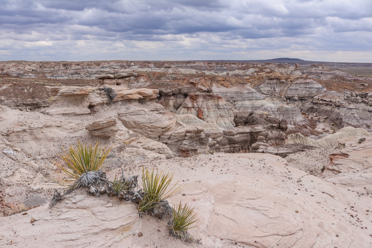 View of the Blue Mesa, Petrified Forest National Park
