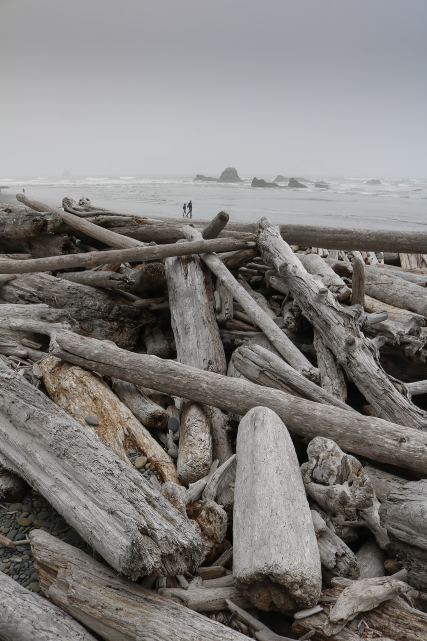 Wood on Ruby Beach, Olympic National Park Photos, Washington State